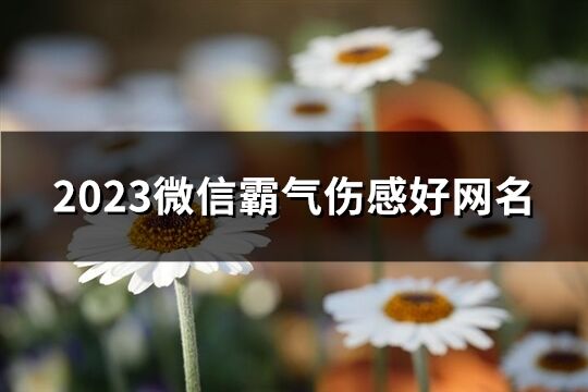 2023微信霸气伤感好网名(优选2220个)