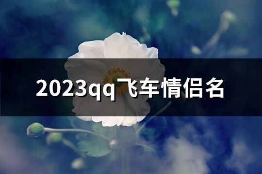 2023qq飞车情侣名(优选119个)