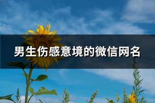 男生伤感意境的微信网名(优选421个)