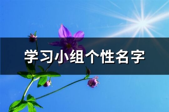 学习小组个性名字(优选58个)