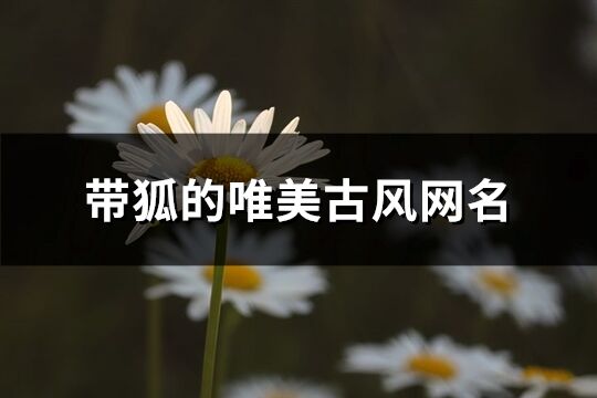 带狐的唯美古风网名(优选78个)