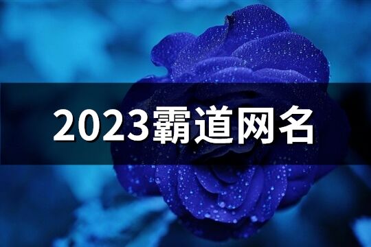 2023霸道网名(精选1233个)