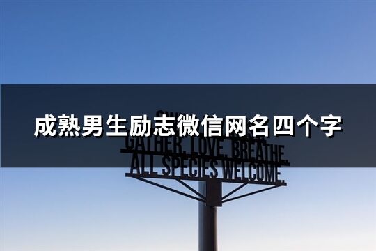 成熟男生励志微信网名四个字(共605个)