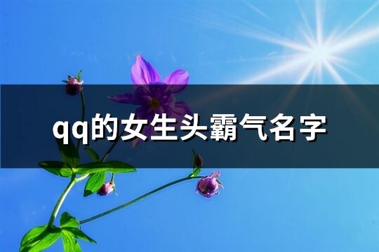 qq的女生头霸气名字(共290个)