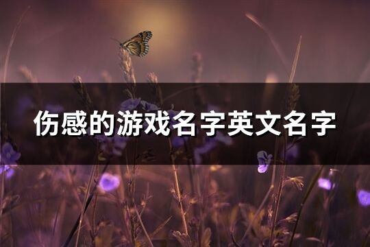 伤感的游戏名字英文名字(共150个)