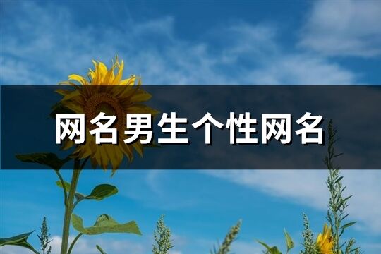 网名男生个性网名(共229个)