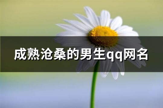 成熟沧桑的男生qq网名(共356个)