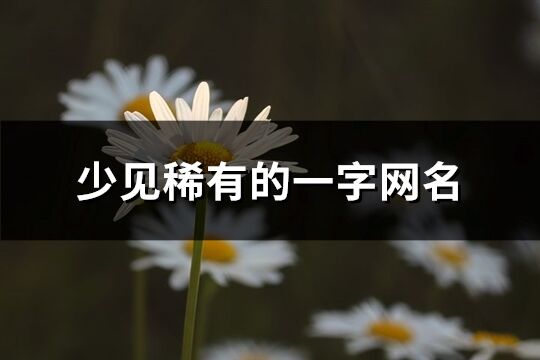 少见稀有的一字网名(精选115个)