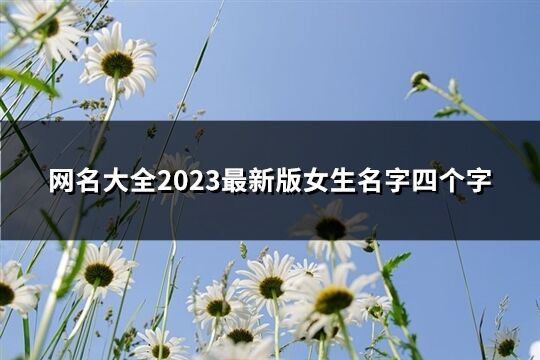 网名大全2023最新版女生名字四个字(精选509个)