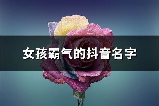 女孩霸气的抖音名字(228个)