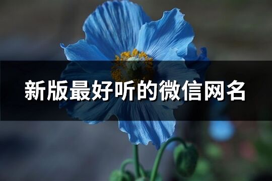 新版最好听的微信网名(共838个)