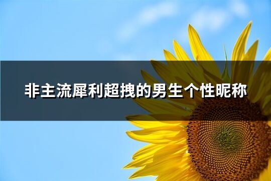 非主流犀利超拽的男生个性昵称(优选208个)