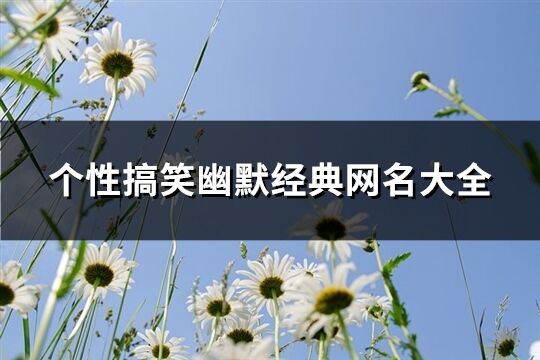 个性搞笑幽默经典网名大全(精选518个)