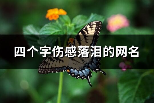 四个字伤感落泪的网名(精选966个)