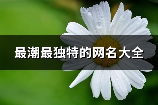 最潮最独特的网名大全(699个)