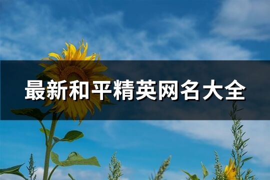 最新和平精英网名大全(共1303个)