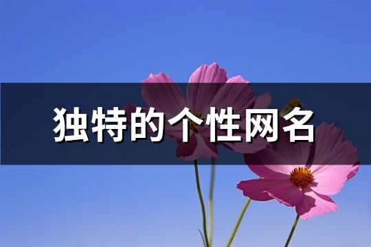 独特的个性网名(优选646个)