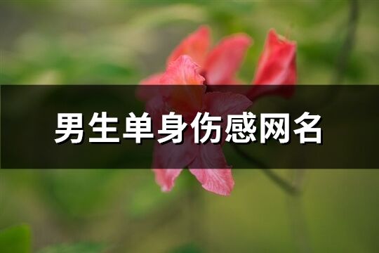 男生单身伤感网名(精选98个)