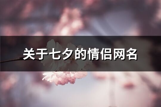 关于七夕的情侣网名(106个)