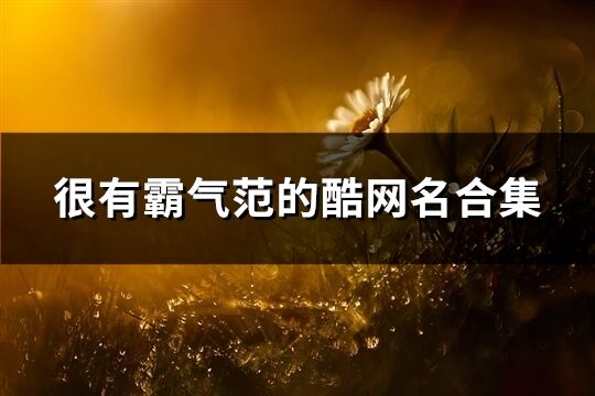 很有霸气范的酷网名合集(240个)