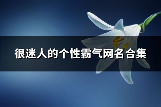 很迷人的个性霸气网名合集(优选228个)