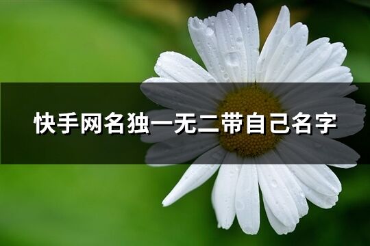 快手网名独一无二带自己名字(精选226个)