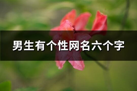 男生有个性网名六个字(精选518个)