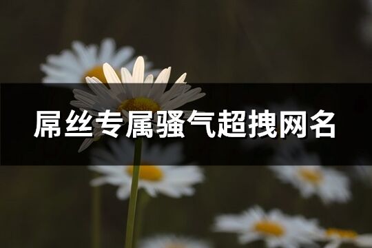 屌丝专属骚气超拽网名(588个)