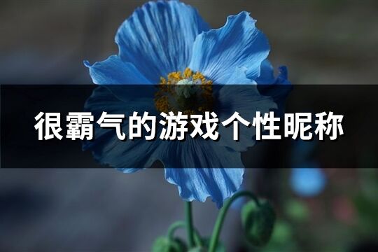 很霸气的游戏个性昵称(精选1116个)