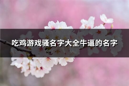 吃鸡游戏骚名字大全牛逼的名字(452个)