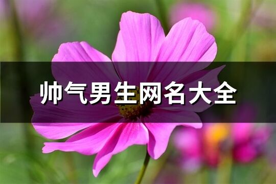 帅气男生网名大全(共737个)