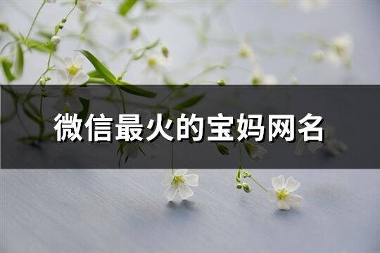 微信最火的宝妈网名(606个)