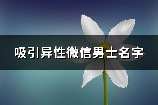 吸引异性微信男士名字(优选1879个)