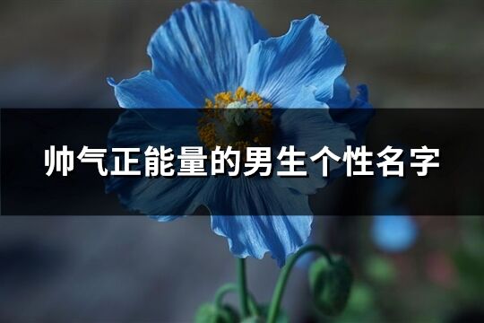 帅气正能量的男生个性名字(363个)