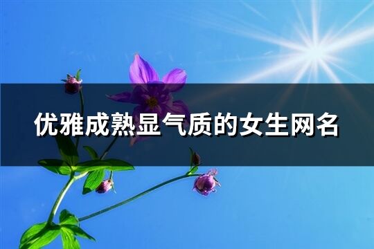 优雅成熟显气质的女生网名(精选204个)