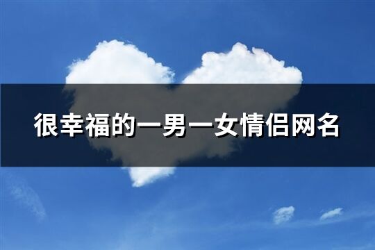 很幸福的一男一女情侣网名(优选411个)