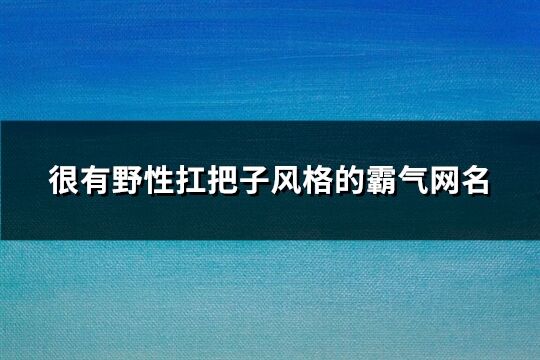 很有野性扛把子风格的霸气网名(优选294个)