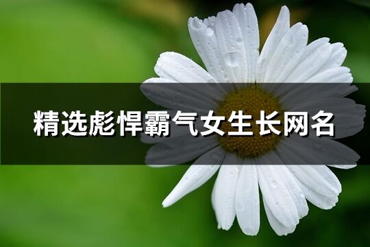 搞笑又霸气的个性游戏网名大全(共295个)