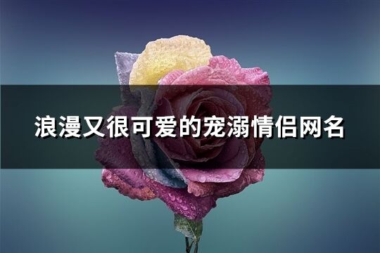 浪漫又很可爱的宠溺情侣网名(优选283个)