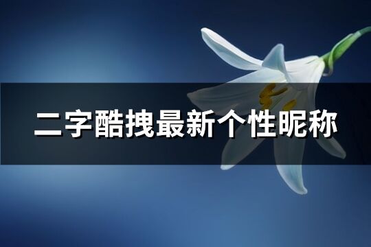 二字酷拽最新个性昵称(共1028个)