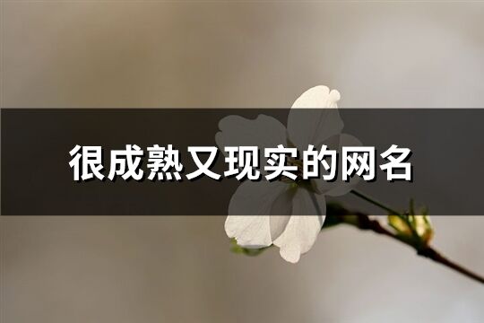 很成熟又现实的网名(优选291个)