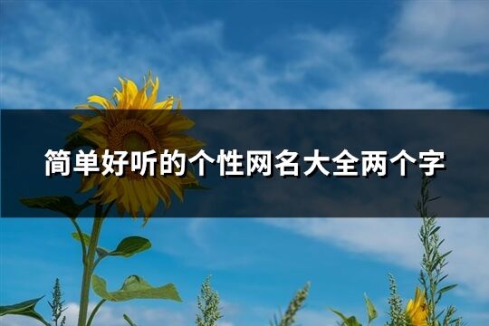 简单好听的个性网名大全两个字(3283个)