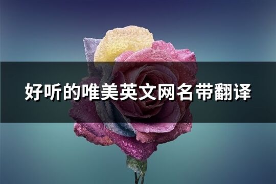 好听的唯美英文网名带翻译(精选110个)