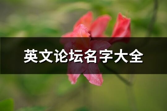 英文论坛名字大全(135个)