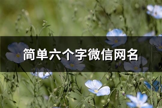 简单六个字微信网名(优选319个)