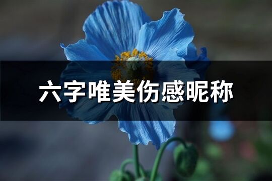 六字唯美伤感昵称(优选190个)