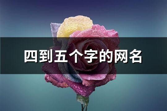 四到五个字的网名(精选446个)