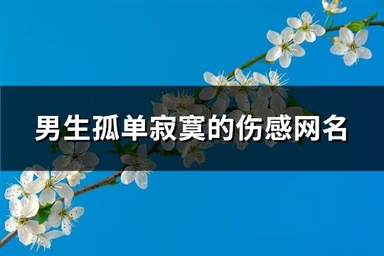 男生孤单寂寞的伤感网名(优选453个)