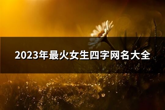 2023年最火女生四字网名大全(共1190个)