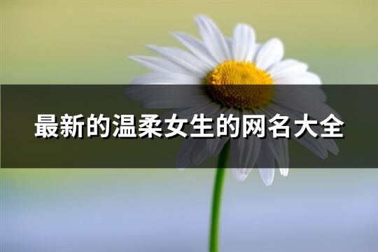 最新的温柔女生的网名大全(精选696个)